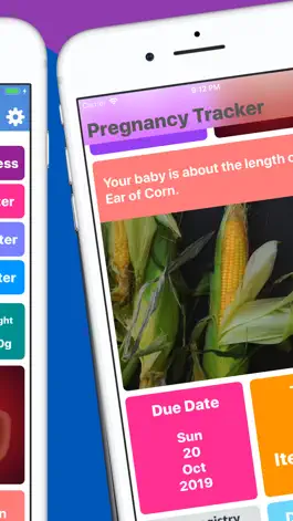 Game screenshot Pregnancy Tracker Your Journey hack