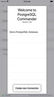 postgresql commander iphone screenshot 4