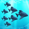 Crowd Fish 3D