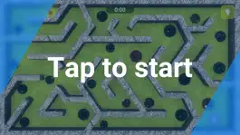 Game screenshot APD Labyrinth hack