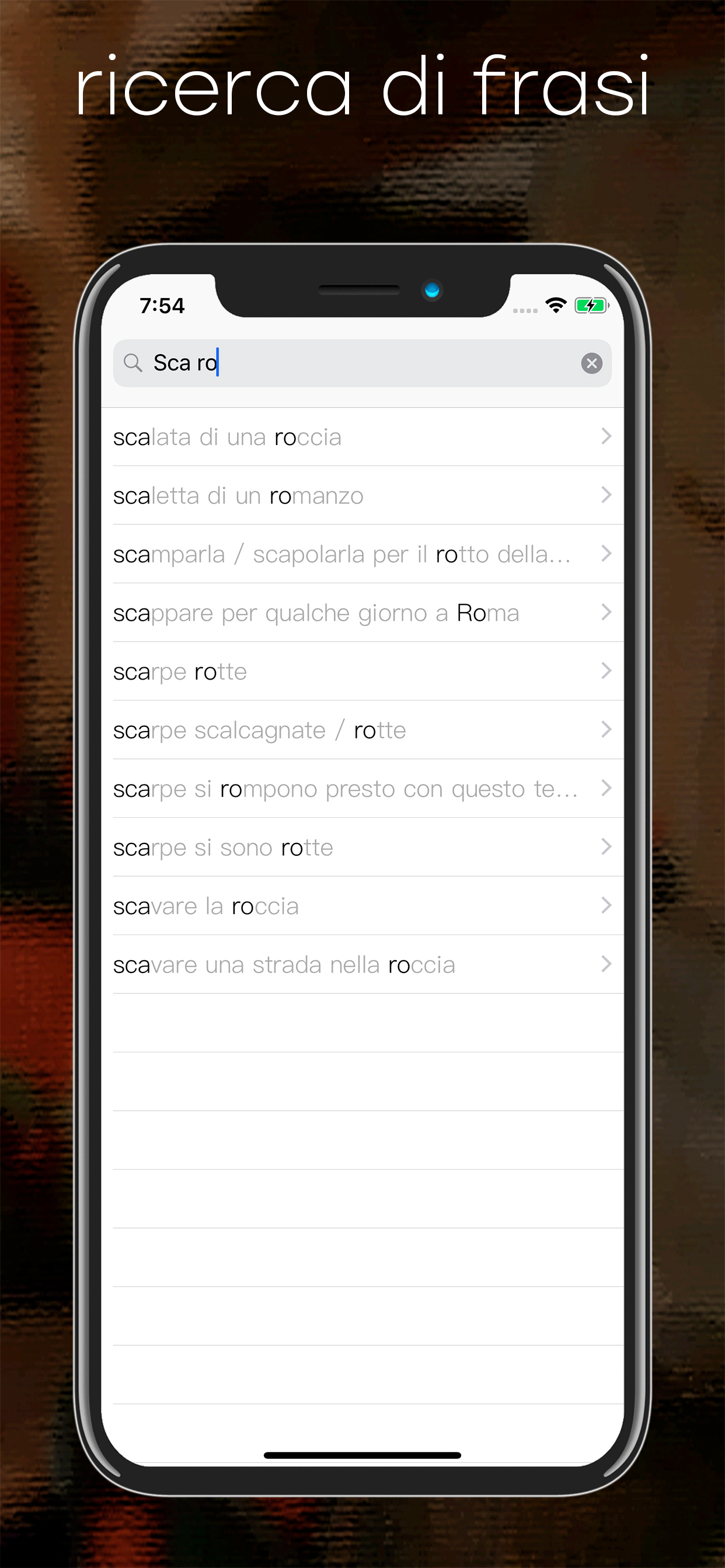 Italiano<->russo dizionario