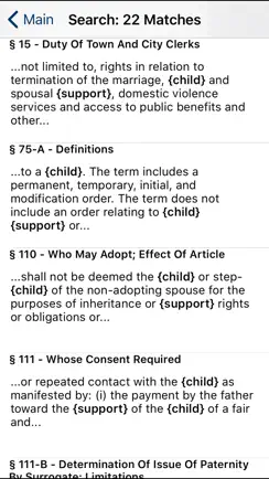 NY Domestic Relations Law 2026 iPhone image 2