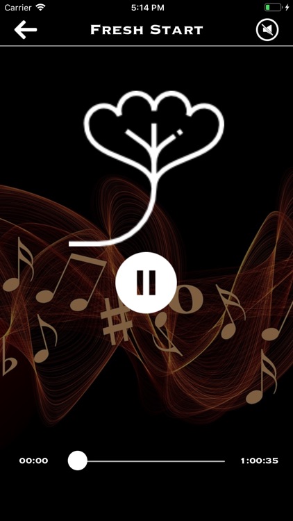 Relaxing Meditation Music