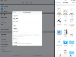 AnyFont iPad image 4