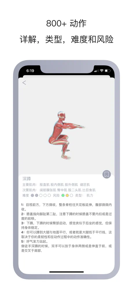运动解剖