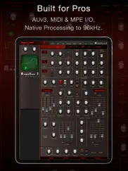 magellan synthesizer 2 ipad capturas de pantalla 2