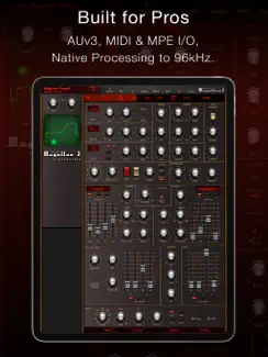 Magellan Synthesizer 2 iPad image 2