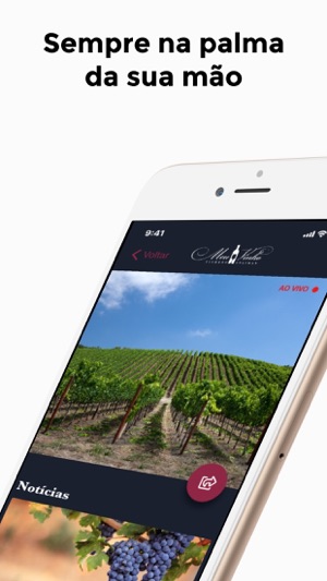 Meu Vinho(圖3)-速報App