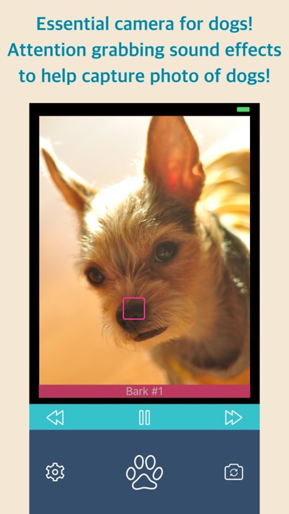Bark Camera - For Dog