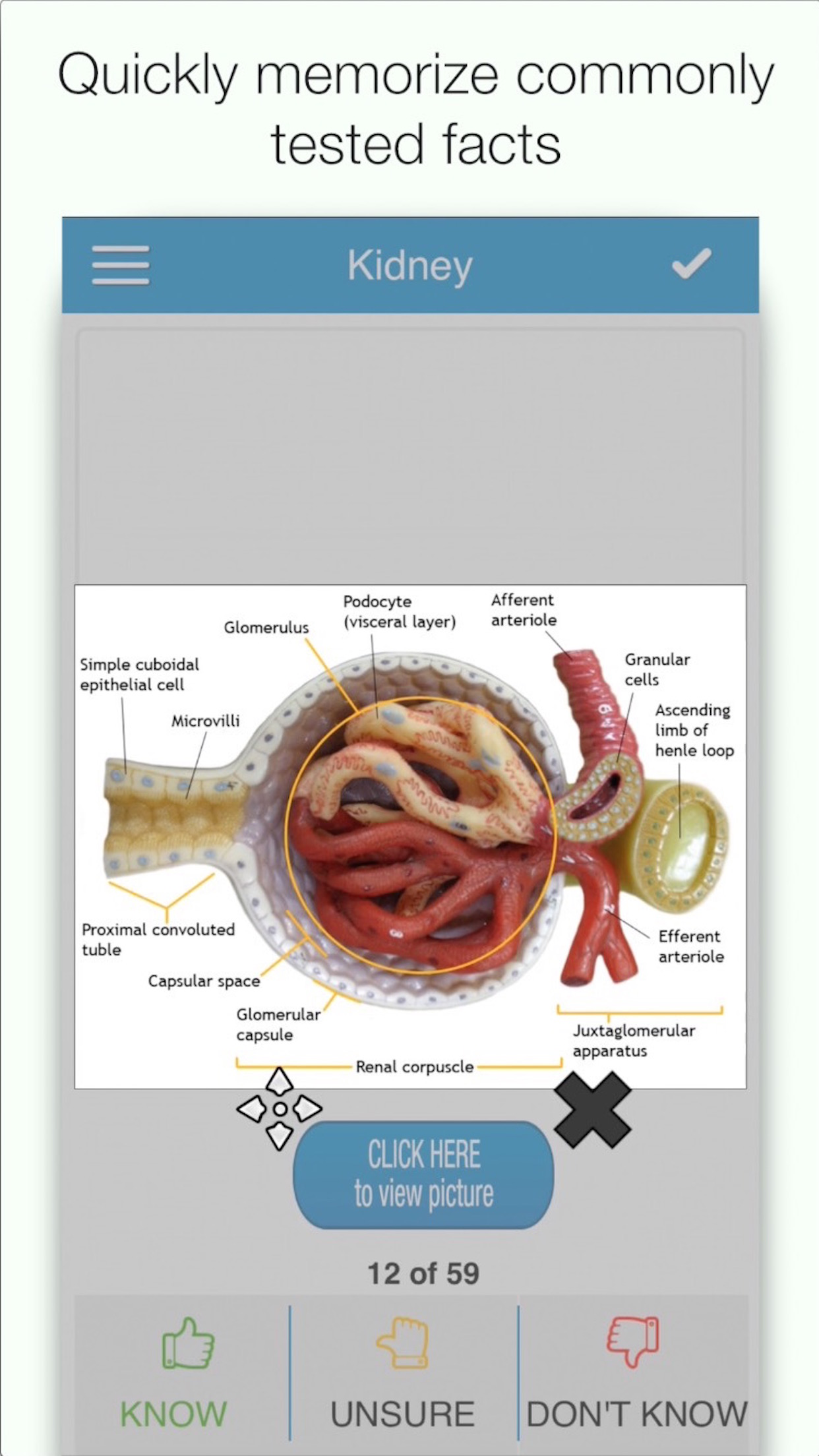 USMLE Bio/Physio Cram Cards