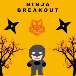 Ninja-Breakout!