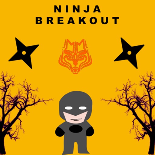 Ninja-Breakout!