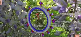 Game screenshot Bio Virus Structure in 3D hack