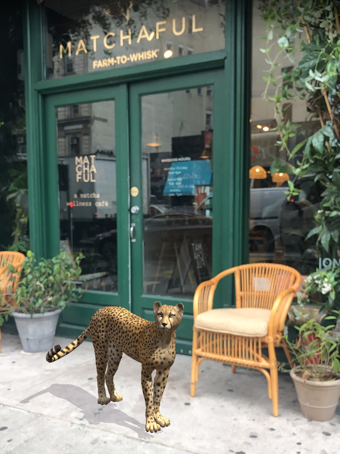 Chantecaille Wild Beauty