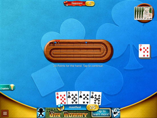 Cribbage - Crib & Peg Game iPad app afbeelding 4