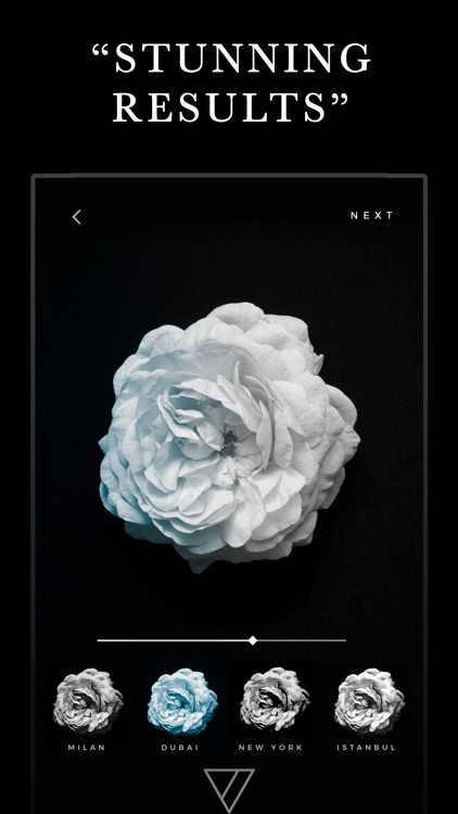 Carbon - B&W Filters & Effects