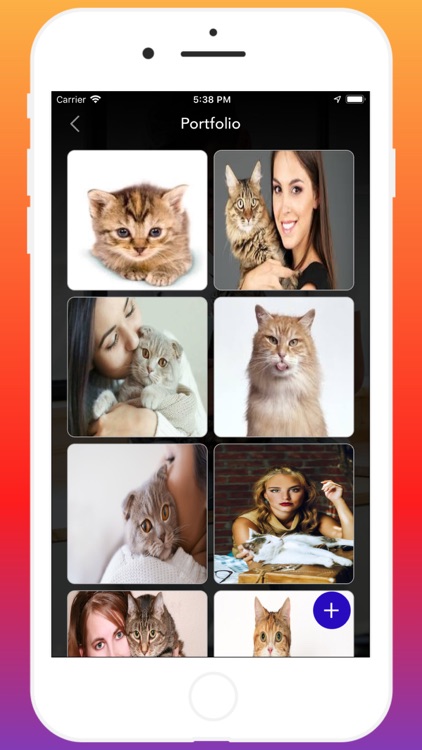 Cat On Hire Provider screenshot-9