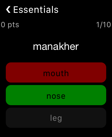 Easy Egyptian Arabic screenshot 21