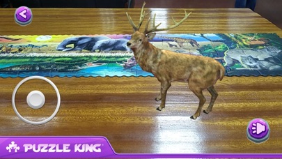 Wild Animals screenshot 3