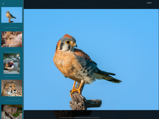 Nature and Wildlife Pictures iPad screenshot 7 - Photo & Video app