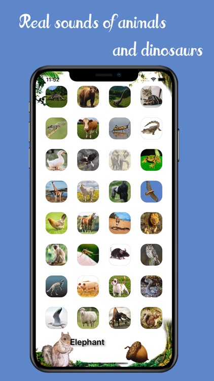 Animal Soundbook screenshot-0