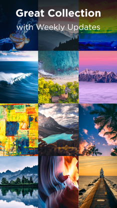 Live Wallpapers ゜ screenshot 4
