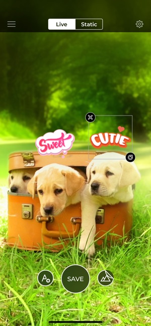LiveYourScreen - Wallpapers(圖9)-速報App