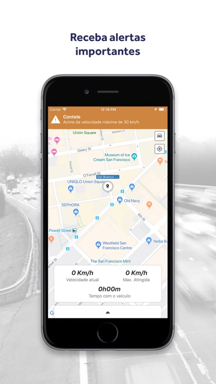 Contele Driver screenshot-3