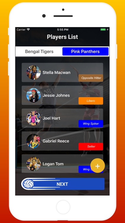 Volleyball Score Card screenshot-5