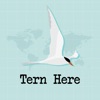Tern Here – Social Travel Blog