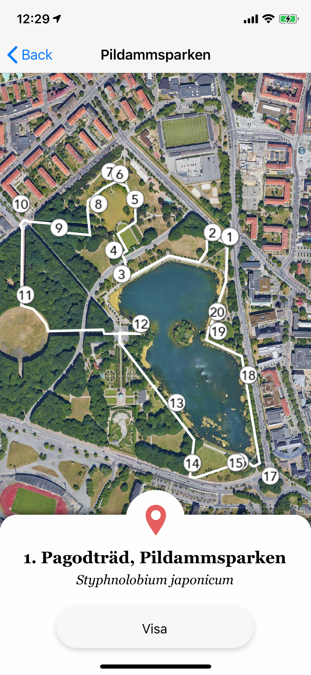 Träd i Malmö
