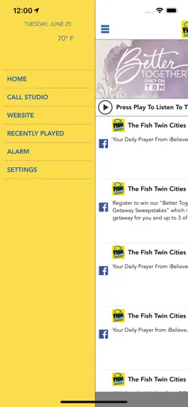 Game screenshot The Fish Twin Cities apk