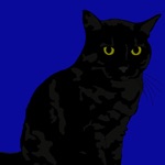 Download The Night Cat - Ad Supported app