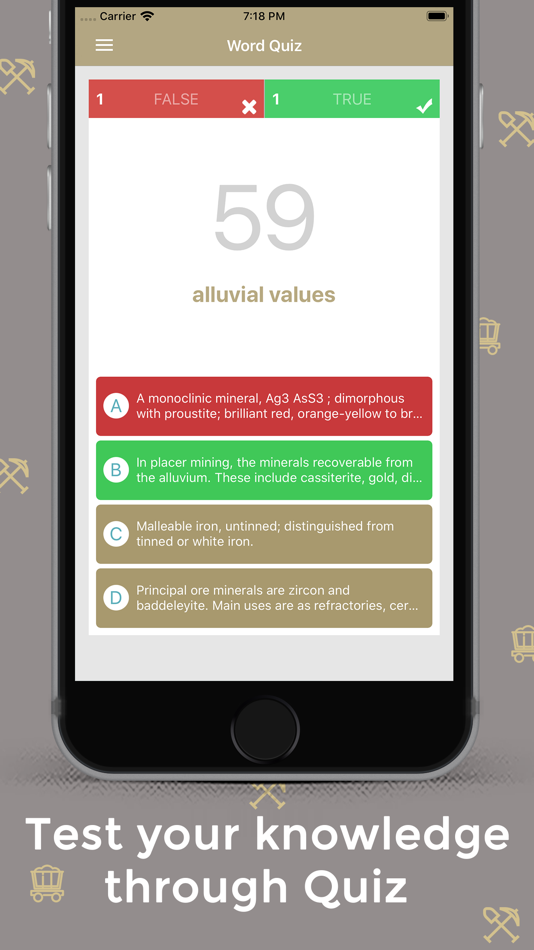 #4. Mining Dictionary - Offline (iOS) 由: Puju Dekivadiya