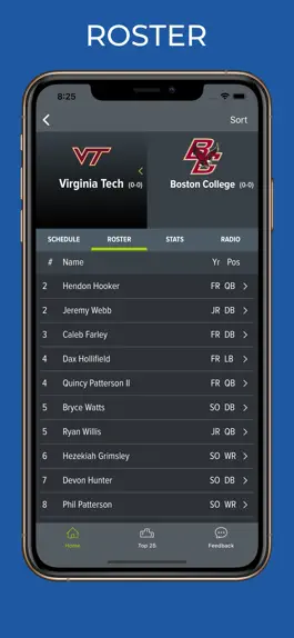 Game screenshot Virginia Tech Football hack