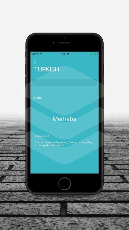 English to Any screenshot-4