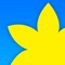 Gallery is like Secrete Gallery, Hide Photos & Videos, Photos Locker, Safe locker & much more