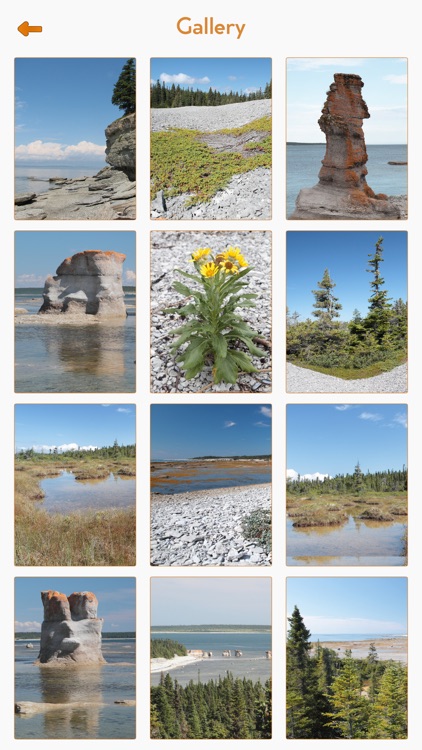 Mingan Archipelago screenshot-3