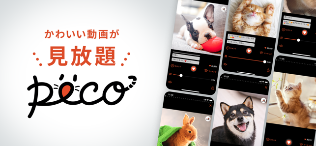 ‎PECO(ペコ)：可愛いどうぶつ動画・迷子サポートサービス スクリーンショット