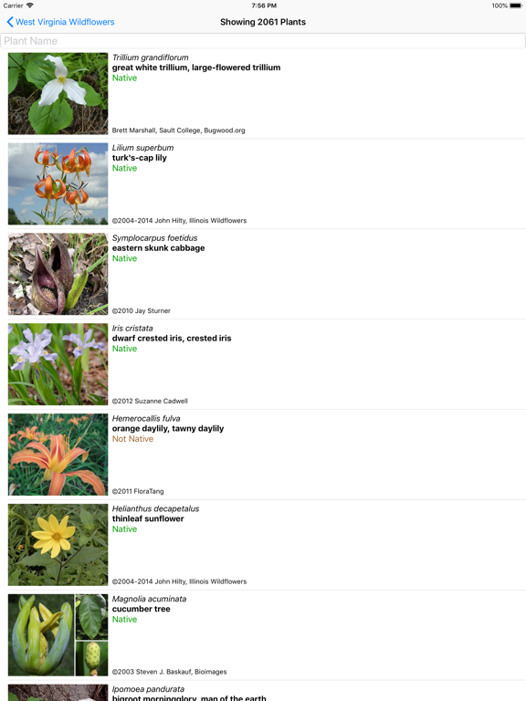 Screenshot #5 pour West Virginia Wildflowers