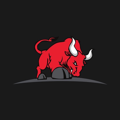 The Bull Attorneys! ®