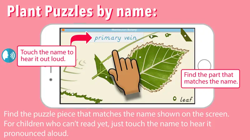 Learn Botany - Parts of Plants screenshot 4 of 9