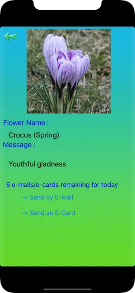 Game screenshot Flowers Language hack