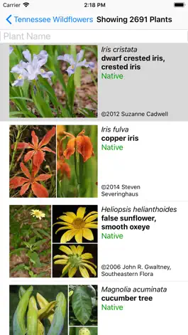 Game screenshot Tennessee Wildflowers apk