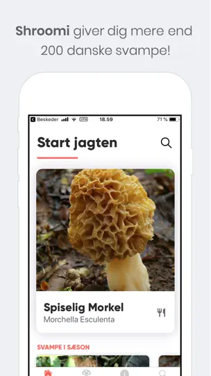 Shroomi - Danske Svampe iPhone-skjermbilde 1