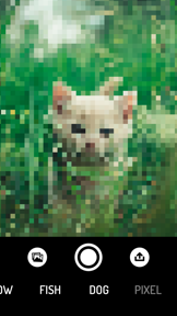 How do Animals see? - Camera screenshot