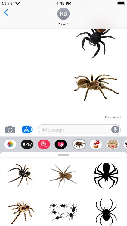 Spider Set Stickers