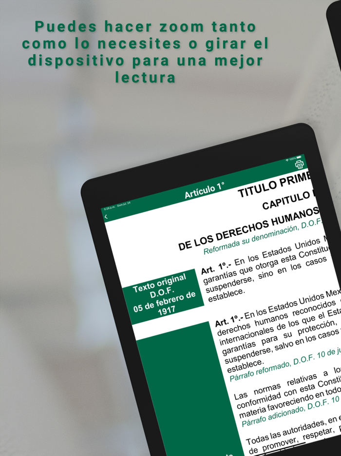 Constitución Mexicana