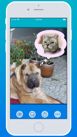 Balloon Stickies Plus screenshot 2