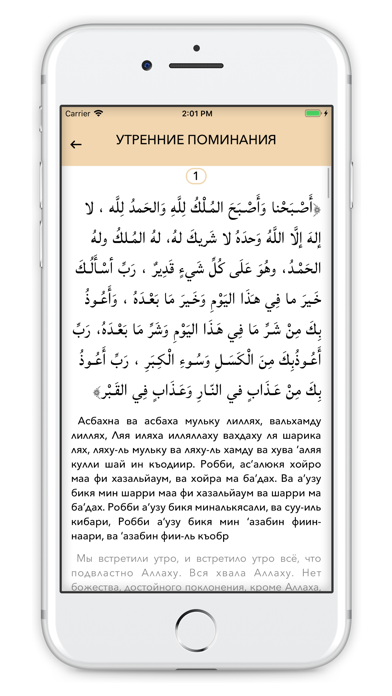 DailyZikr - Поминания Аллаха Screenshot